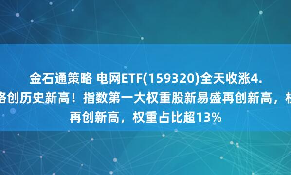 金石通策略 电网ETF(159320)全天收涨4.13%，盘中价格创历史新高！指数第一大权重股新易盛再创新高，权重占比超13%