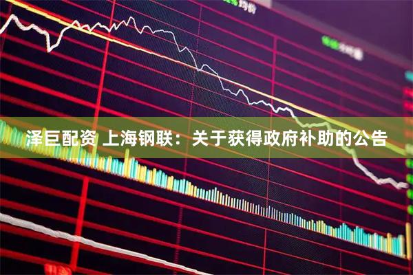 泽巨配资 上海钢联：关于获得政府补助的公告