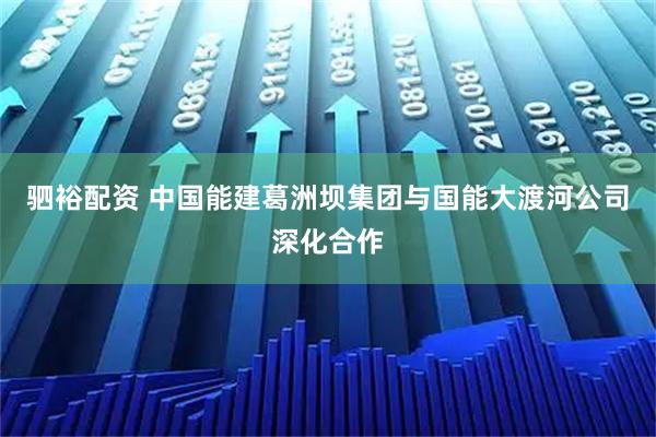 驷裕配资 中国能建葛洲坝集团与国能大渡河公司深化合作