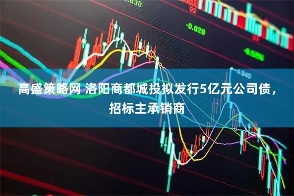 高盛策略网 洛阳商都城投拟发行5亿元公司债，招标主承销商